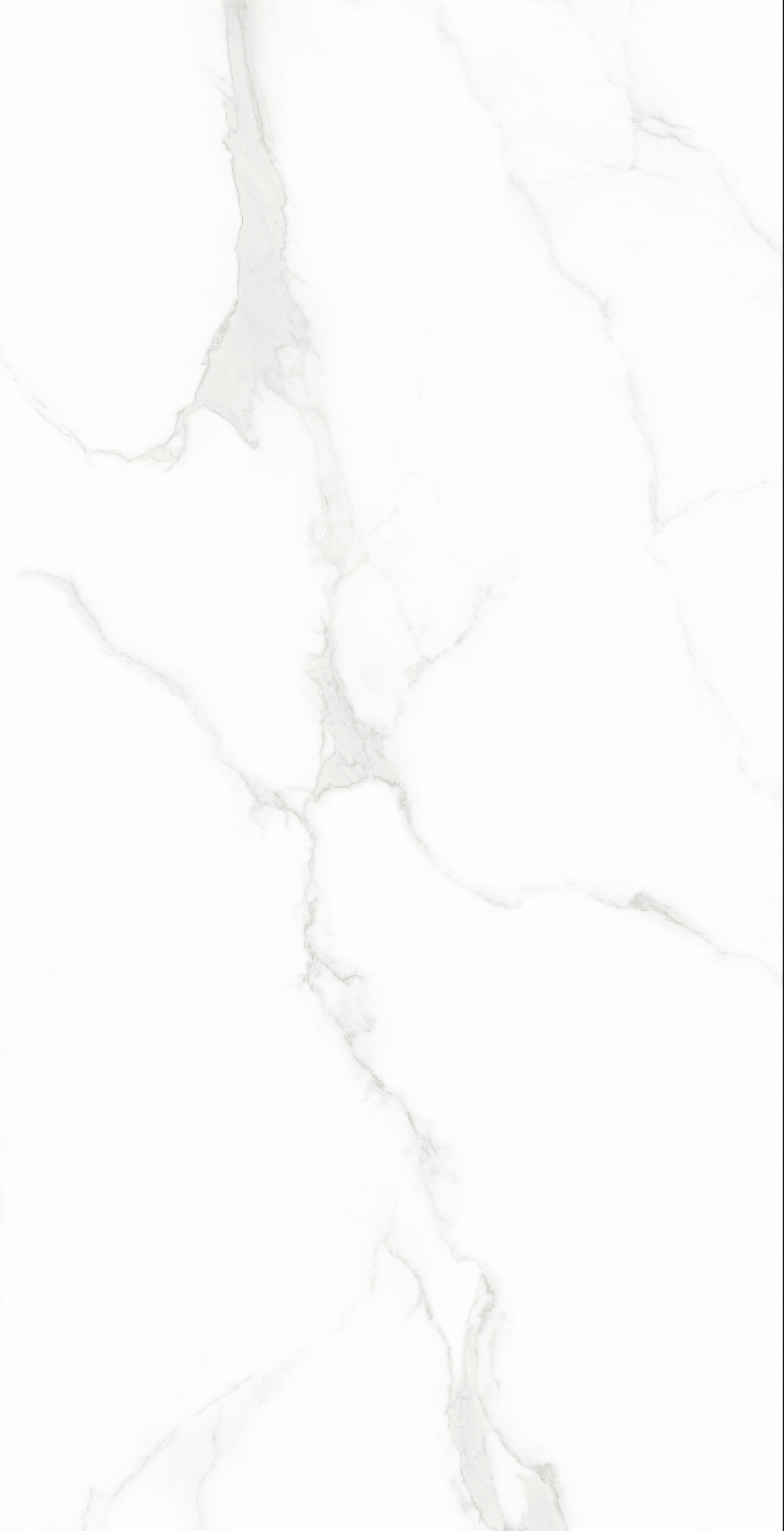 Prestigio - Carrara White Tiles